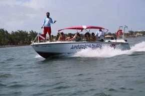 Ambergris Caye : Réserve marine de Hol Chan Dive & Snorkel...