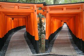 Kyoto : visite en bus d'une journée (Fushimi Inari, Kinkaku-ji, bambouseraie)