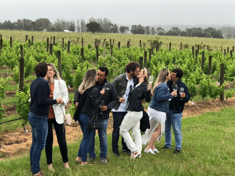 San Francisco : Visite d'une demi-journée dans la Napa Valley avec dégustations de vins