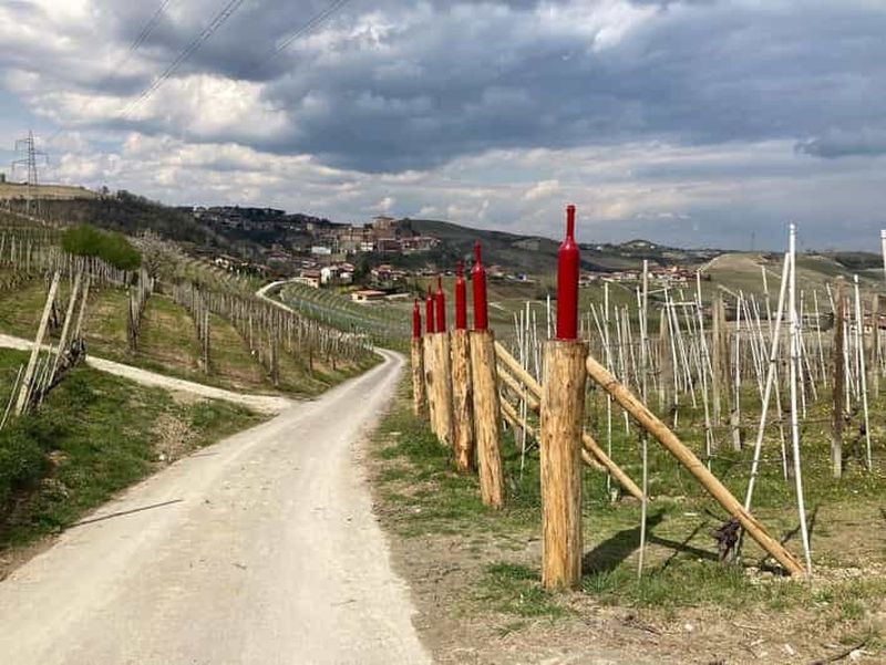 Cisterna d'Asti : Visite en vélo électrique à travers les collines et les vignobles