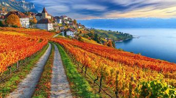 Excursion privée d'une journée : Genève aux vignobles de Lavaux, Nyon et retour