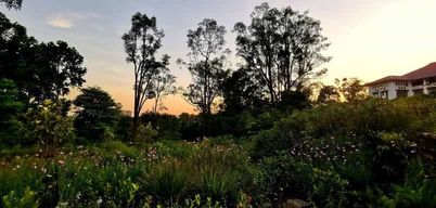 Singapour : jardins botaniques et promenade à Tiong Bahru avec petit-déjeuner