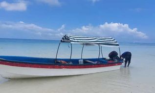 Pemba : Excursion de plongée avec masque et tuba sur l'île de Misali, avec déjeuner barbecue