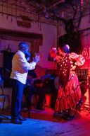 Alicante : spectacle de flamenco fusion et gastronomie au Blacky Bar