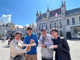 Bruges et Gand au départ de Paris Excursion privée d'une journée avec guide