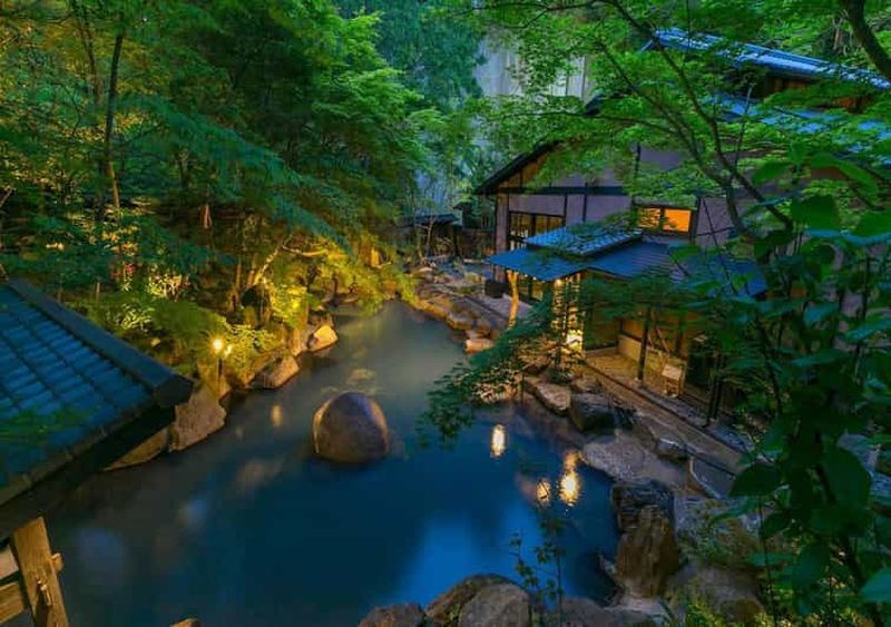 Au départ de Tokyo : visite privée à Fuji/Hakone - Onsen, art, nature