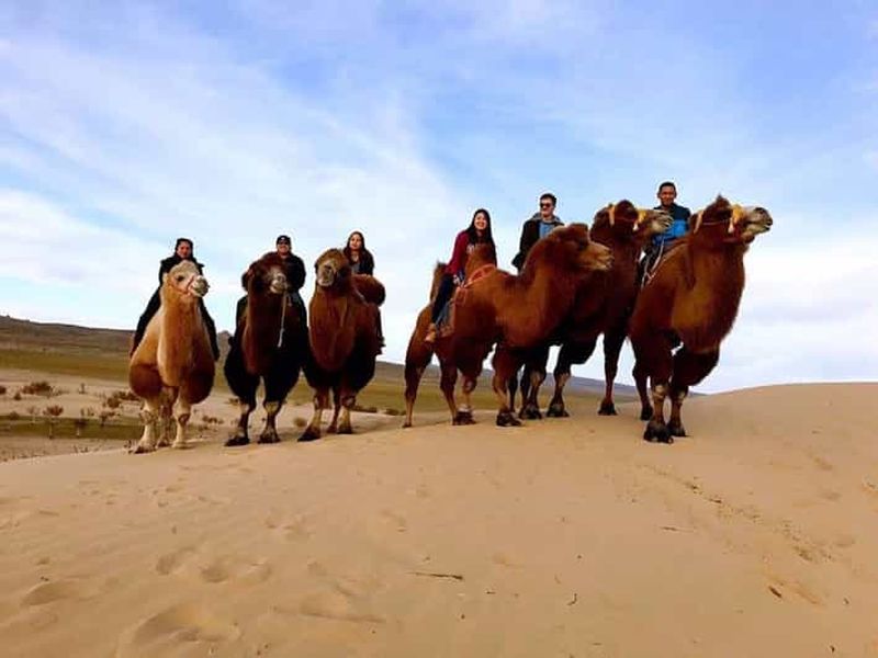 Oulan-Bator : excursion dans le désert du Semi-Gobi et balade à dos de chameau