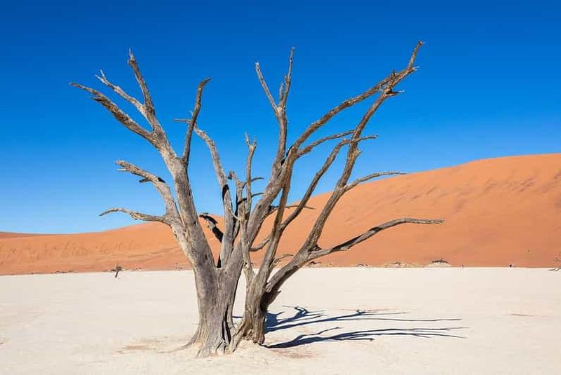 Depuis Windhoek : Budget Sossusvlei visite guidée de 2 jours