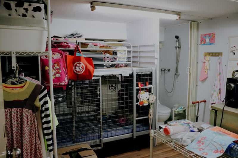 Hong Kong : visite guidée à pied sur le thème « Le côté obscur de Hong Kong : les maisons-cages ».