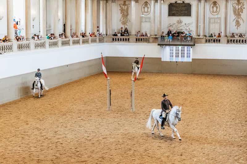 Vienne : Formation à l'école d'équitation espagnole