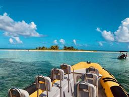 Guadeloupe : Excursion guidée en mer - Découvrez le Grand Cul de Sac Marin
