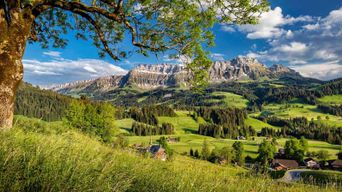 Voyage dans l'Emmental au départ de Zurich : visite et atelier de fabrication de fromage