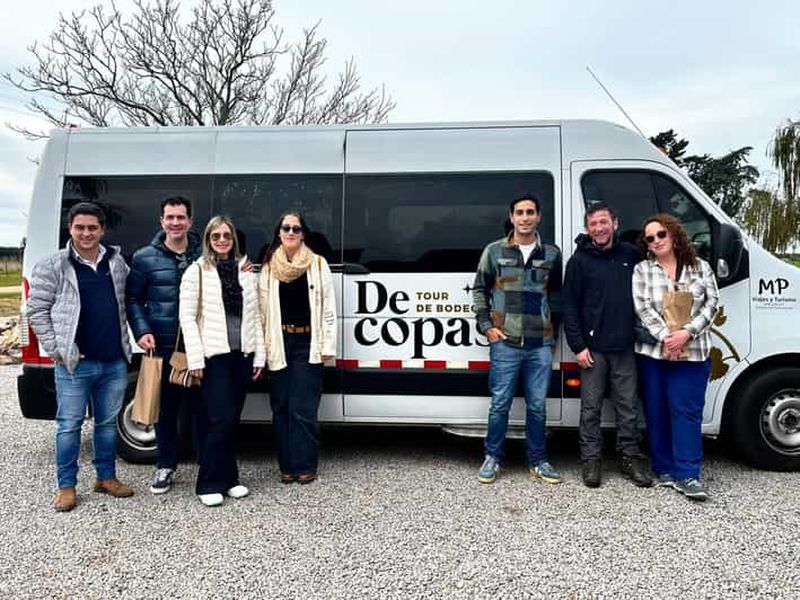 Depuis Colonia : visite guidée en groupe des caves de Carmelo