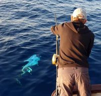 Kotor : expérience de pêche relaxante dans la baie avec skipper