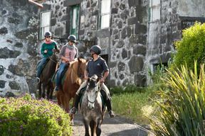 Île de Faial : Randonnée à cheval sur le sentier Lusitano
