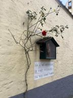 Visite gratuite de l'histoire étonnamment intéressante de Bruges