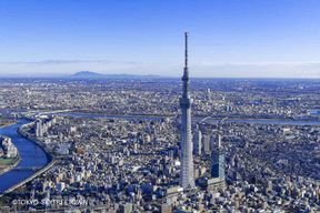 Tokyo : visite en bus d'une journée avec Meiji-Jingu, Odaiba, déjeuner et Skytree