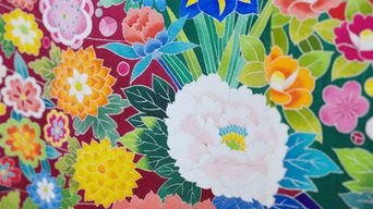 Les couleurs de Kanazawa : visite de la ville avec Kenrokuen et Kaga Yuzen