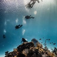 San Andres: expérience de plongée sous-marine avec prise en charge à l'hôtel