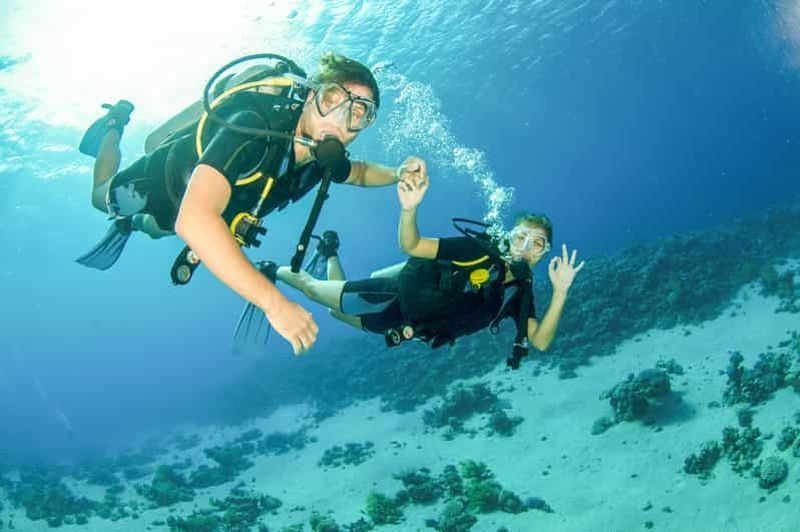 Depuis Dubaï : plongée sous-marine et snorkeling d'une demi-journée à Fujairah