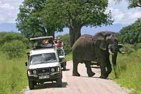 Safari économique de 2 jours dans le parc national du Tarangire et du lac Manyara