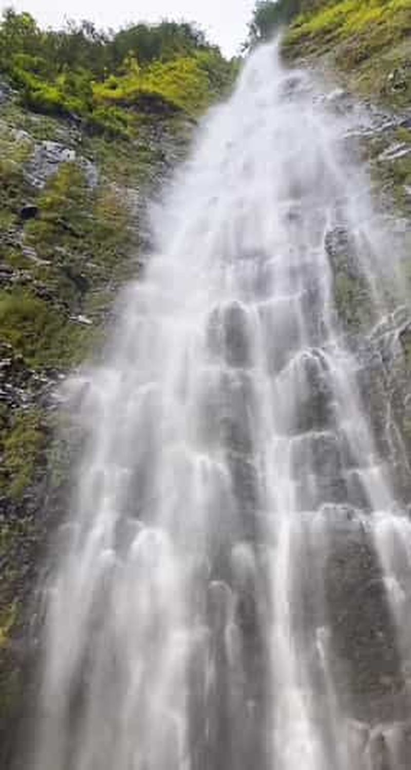 Visite d'une demi-journée : Salalah, Wadi Darbat et mont Samhan