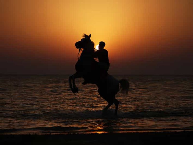 Liwa : aventure équestre dans le désert