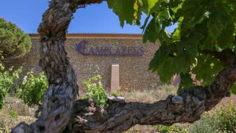 Visite complète du domaine et dégustation de vins au Château Camplazens