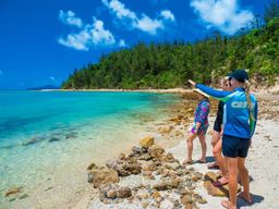 Depuis Airlie : croisière d'une demi-journée à Whitsundays et Whitehaven