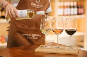 Vila Nova de Gaia : Découverte du Douro