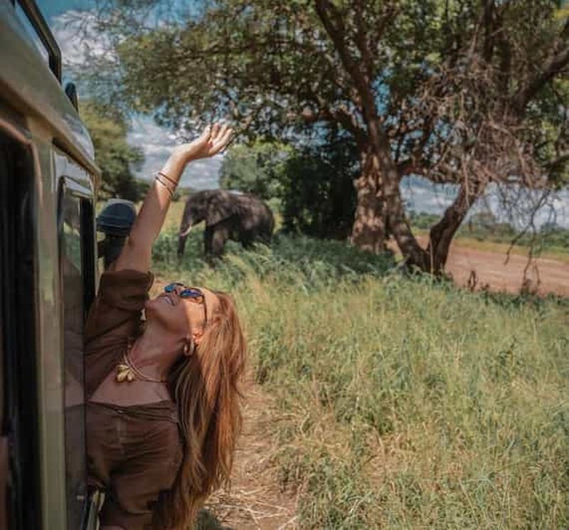 Arusha : Safari de 3 jours au Serengeti et au cratère du Ngorongoro pour observer les Big Five