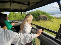 Kigali : safari d'une journée à Akagera + sortie en bateau en option