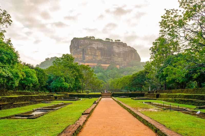 Rocher du Lion de Sigiriya et safari à Minneriya avec déjeuner inclus