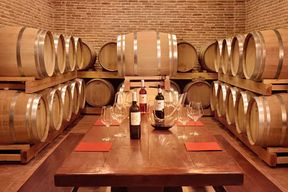 Corinth : Visite d'un vignoble et dégustations de vins fins biologiques