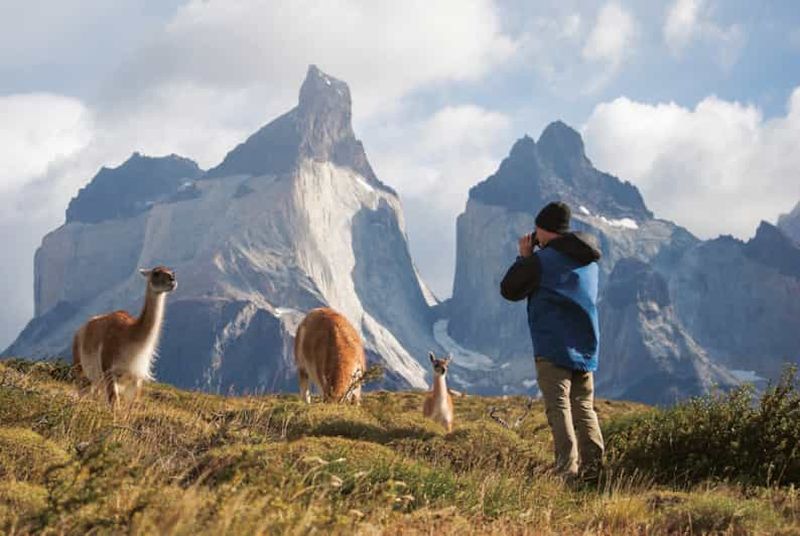 Puerto Natales : Journée complète Torres del Paine + grotte de Milodon