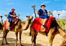 Marrakech : balade à dos de chameau dans l'oasis de la Palmeraie