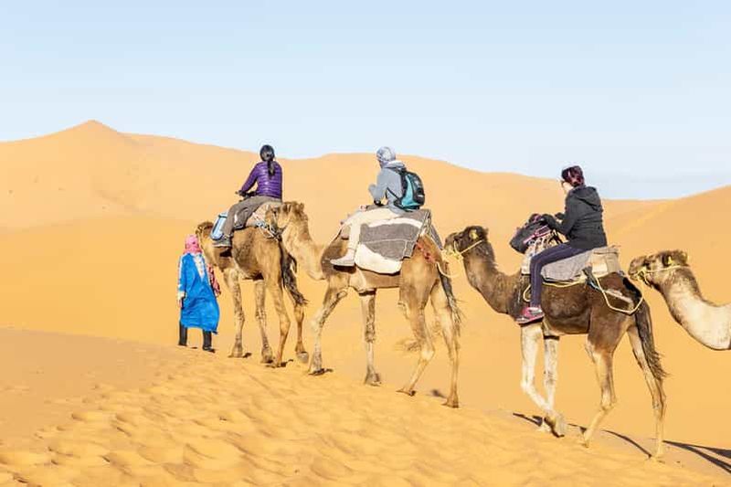 Au départ de Ouarzazate : vallée du Draa, balade à dos de chameau et excursion dans les dunes de Tinfou