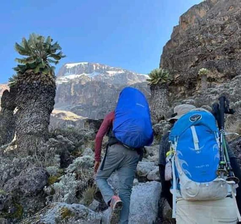 Mont Kilimandjaro : randonnée de 6 / 7 jours - Itinéraire Lemosho