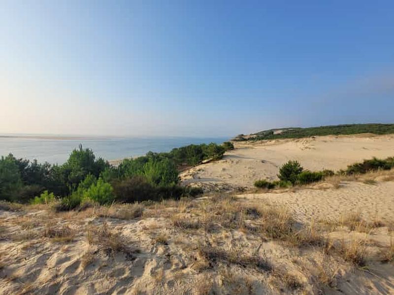 From Bordeaux: Dune du Pilat, Arcachon Bay and Oyster Village Private Tour
