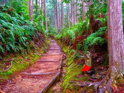 Wakayama : randonnée du Kumano Kodo au Kumano Hongu Taisha
