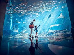 Dubaï : Pass d'une journée pour l'aquarium Aquaventure World Lost World