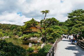 Kyoto : visite guidée du château de Nijo, de Kiyomizu et de Fushimi Inari