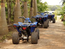 Djerba : Safari en quad sur l'île
