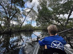 Miami : excursion écologique en kayak transparent avec guide et faune