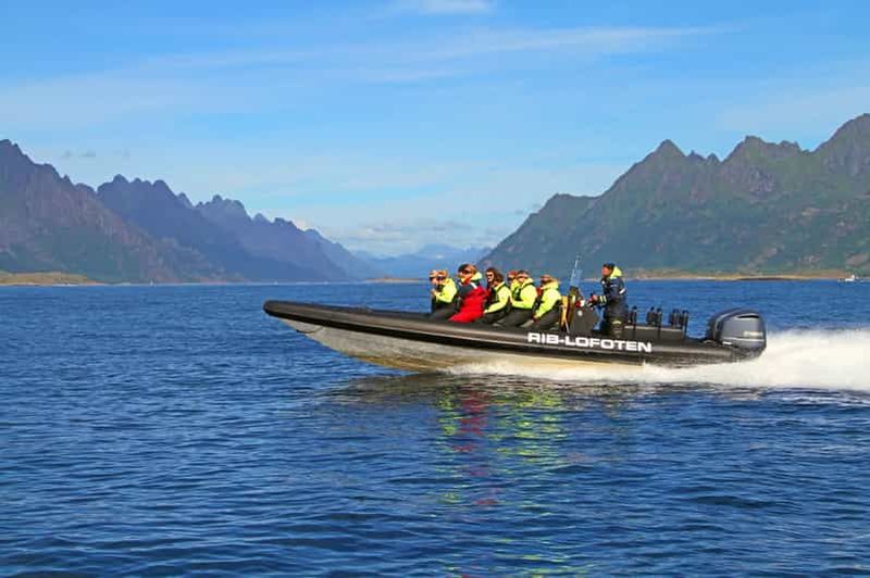 Au départ de Svolvær : safari en zodiac Sea Eagle dans les Lofoten et croisière dans le Trollfjord