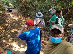 Trekking de 5 jours à Mahale pour les chimpanzés