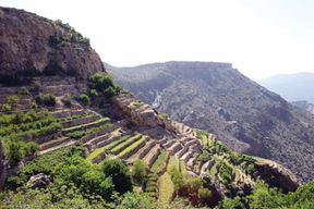 Visite privée d'une journée à Nizwa, Jebel Akhdar