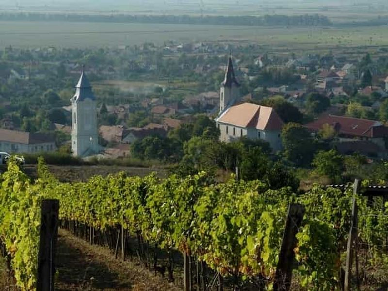 Dégustation de vins à Tokaj, excursion privée d'une journée au départ de Budapest