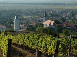 Dégustation de vins à Tokaj, excursion privée d'une journée au départ de Budapest