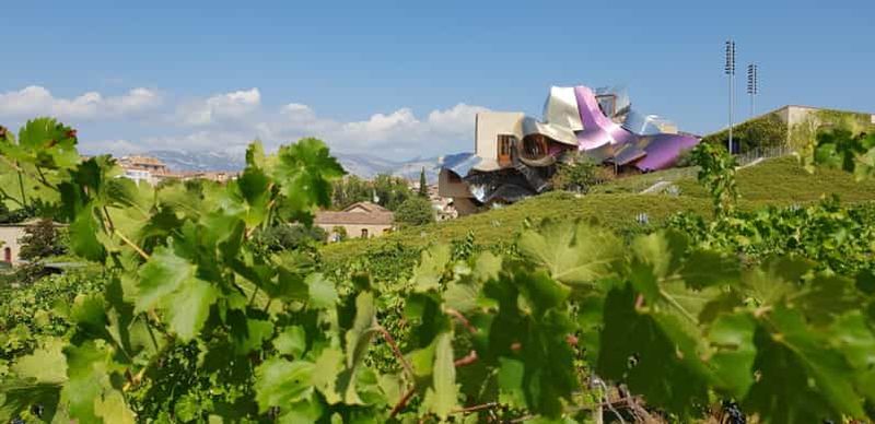 De Saint-Sébastien/Bilbao/Vitoria : visite des vignobles de La Rioja
